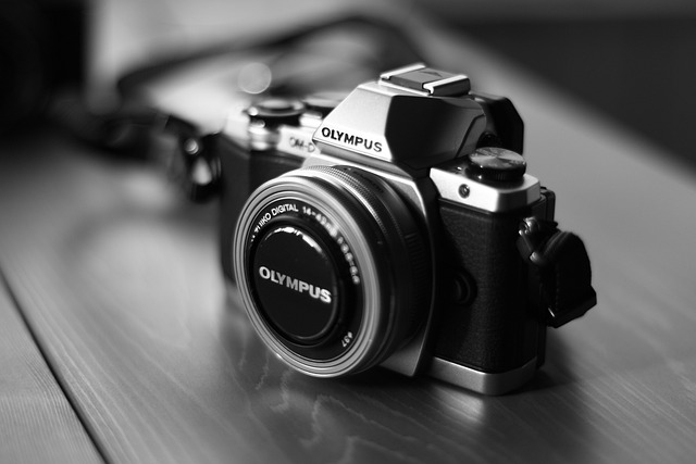相机 奥林巴斯 数码相机 - 上的免费照片