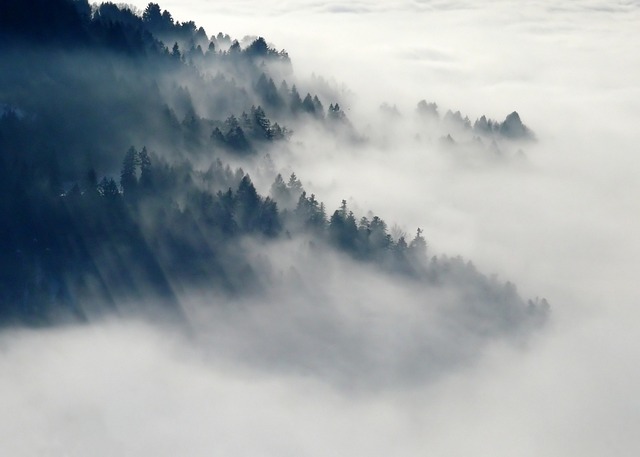 山 森林 云 - 上的免费照片