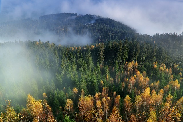 秋天 山 树木 - 上的免费照片