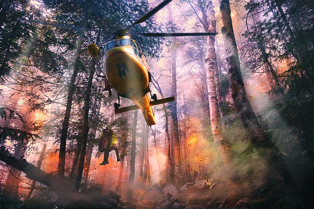 直升机 救援 急救 - 上的免费照片