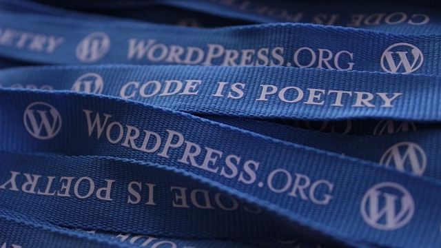 Wordpress的 挂绳 博客 - 上的免费照片