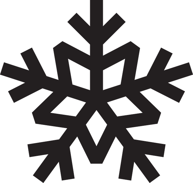 雪花 水晶 雪晶 - 免费矢量图形