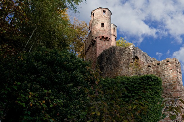 Neckarsteinach 城堡 内卡 - 上的免费照片
