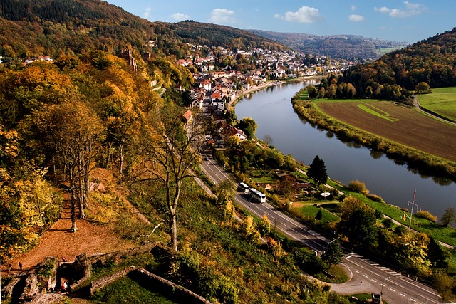 Neckarsteinach 谷 内卡 - 上的免费照片