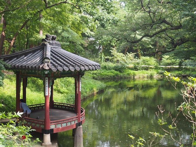 昌庆宫 昌庆宫秘密花园 池塘 - 上的免费照片