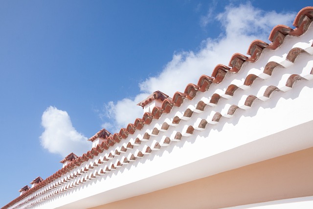 屋顶 屋顶关闭 屋面板 - 上的免费照片