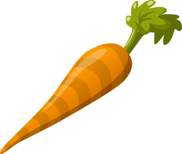萝卜 蔬菜 食物 - 免费矢量图形