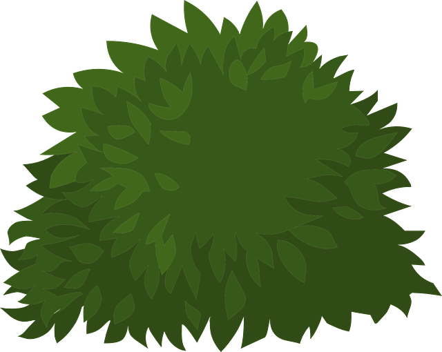 绿色 植物 树叶 - 免费矢量图形