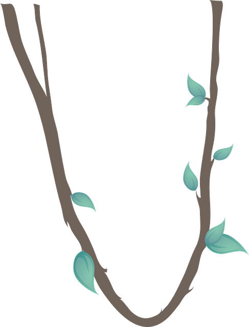 藤本植物 叶子 植物 - 免费矢量图形