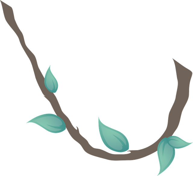 藤本植物 叶子 植物 - 免费矢量图形