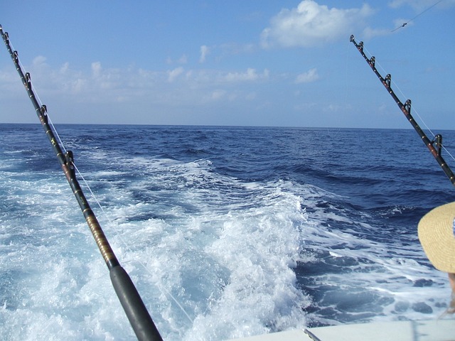 钓鱼 深海捕鱼 夏威夷 - 上的免费照片