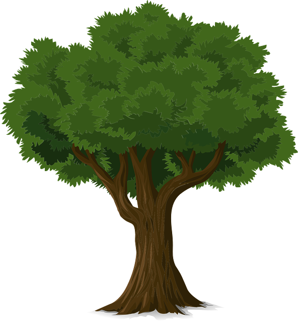 树 树干 树叶 - 免费矢量图形