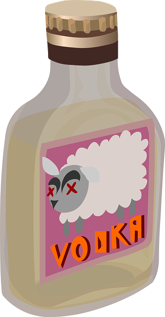 伏特加 瓶子 酒精 - 免费矢量图形