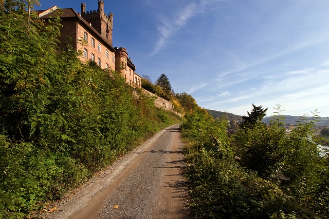 Neckarsteinach 城堡 泥路 - 上的免费照片