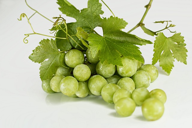 葡萄 绿色 水果 - 上的免费照片