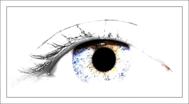 眼睛 学生 虹膜 - 上的免费照片