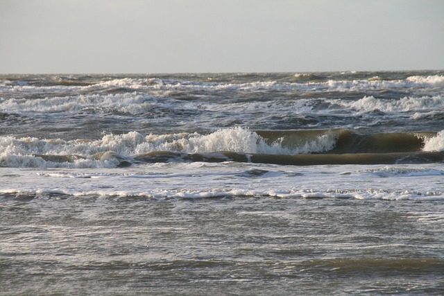 Zandvoort 海 - 上的免费照片