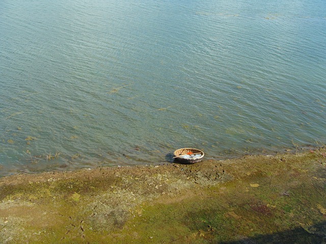 木筏 湖 水库 - 上的免费照片