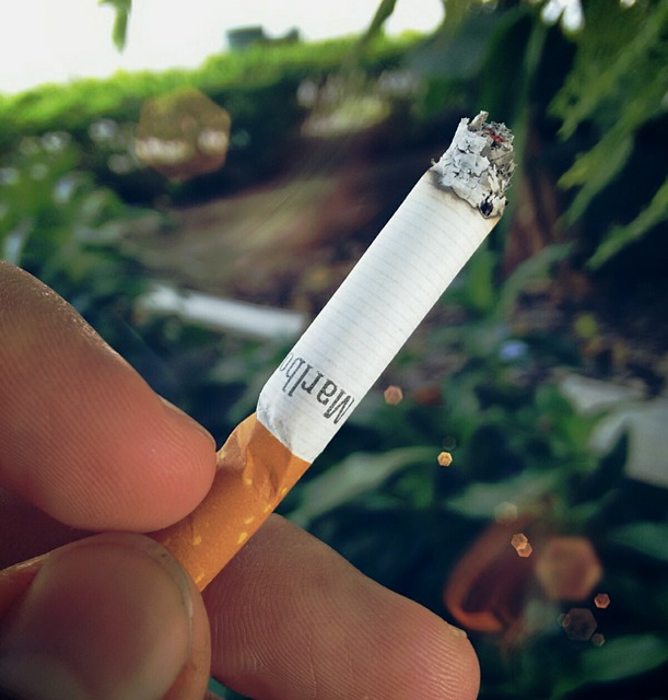 雪茄 香烟 吸烟 - 上的免费照片