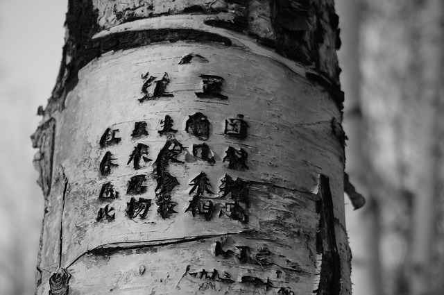 树 刻 诗歌 - 上的免费照片