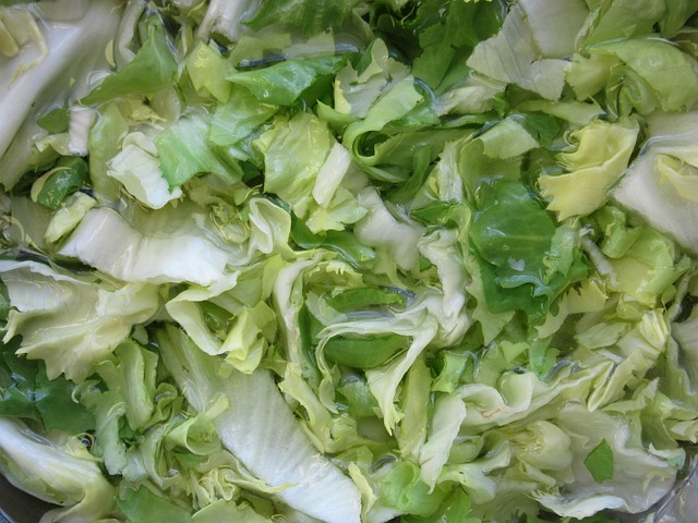 菊苣 沙拉 蔬菜 - 上的免费照片