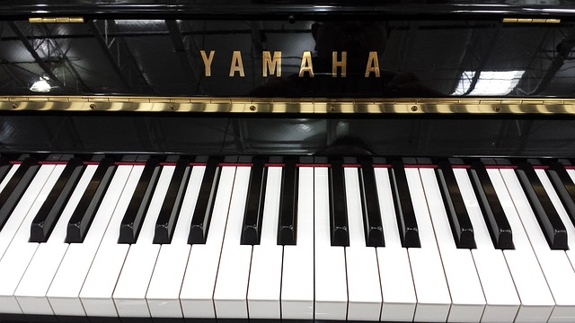 钢琴 键盘 音乐 - 上的免费照片