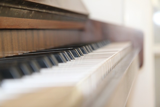 钢琴 键盘 音乐 - 上的免费照片