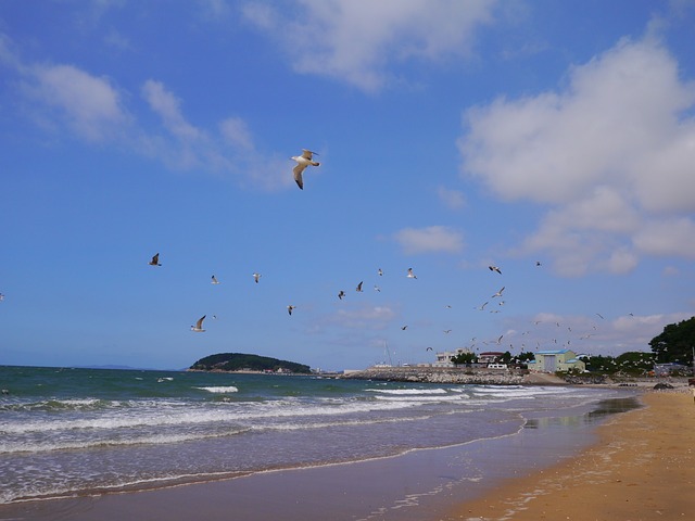 海洋 大韩民国 蓝色 - 上的免费照片
