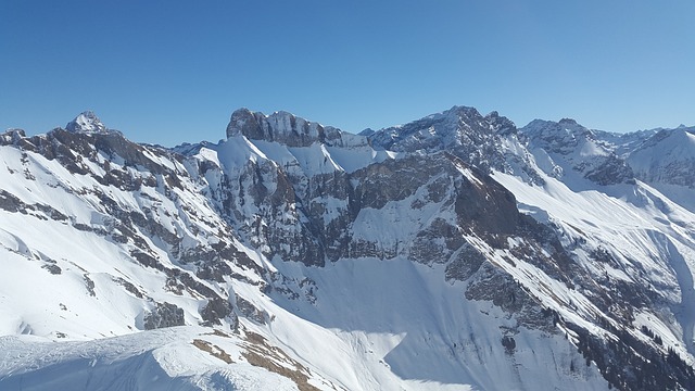 阿尔高 蜗牛 首脑 - 上的免费照片