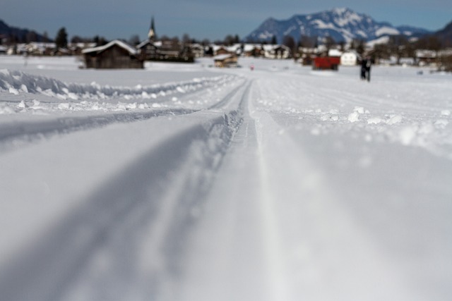 越野小径 越野滑雪 冬天 - 上的免费照片