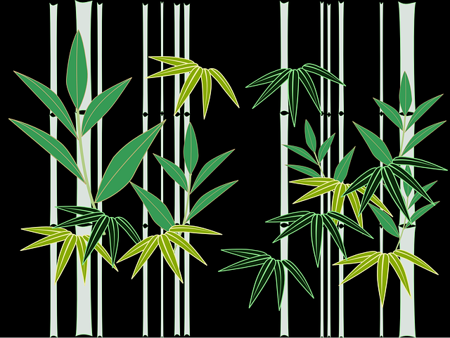 竹 日本 日式 - 免费矢量图形