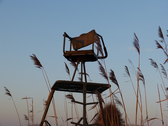 自然 景观 外表 - 上的免费照片
