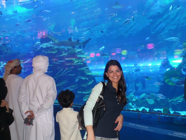 水族馆 劳拉 - 上的免费照片