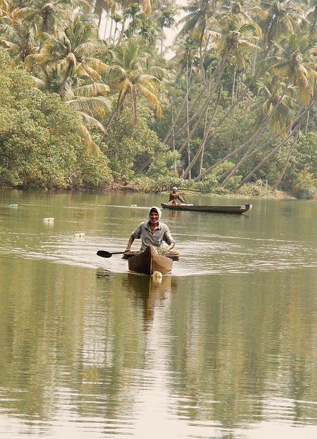 印度 科钦 抓螃蟹 - 上的免费照片