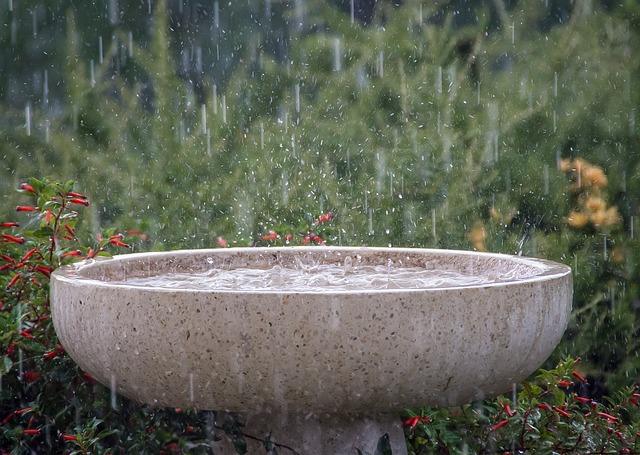 雨 雨量 湿的 - 上的免费照片
