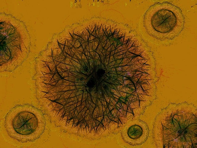 病毒 细菌 胚芽 - 上的免费图片