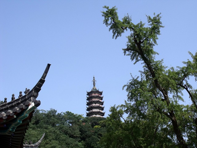 寺庙 内置 佛 - 上的免费照片