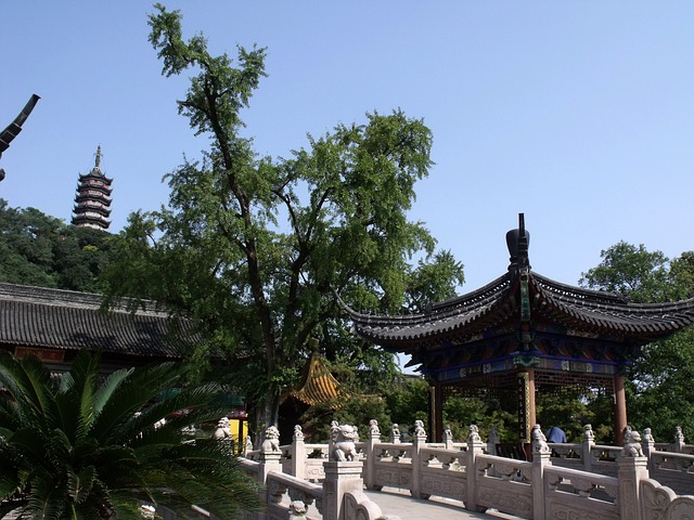 寺庙 内置 佛 - 上的免费照片