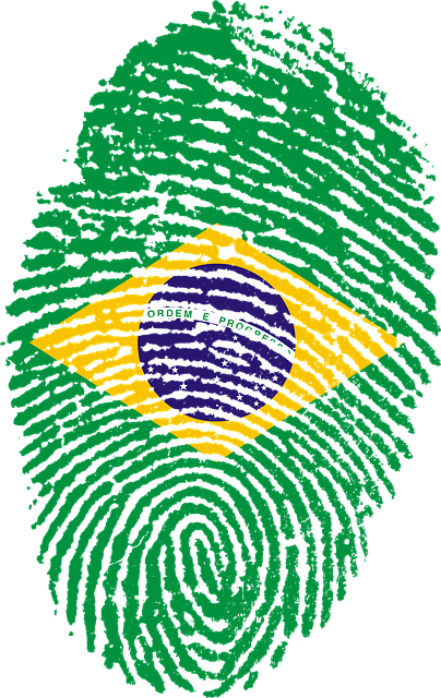 巴西 旗帜 指纹 - 上的免费图片