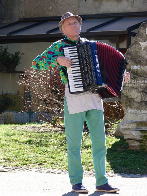 音乐家 手风琴家 手风琴 - 上的免费照片