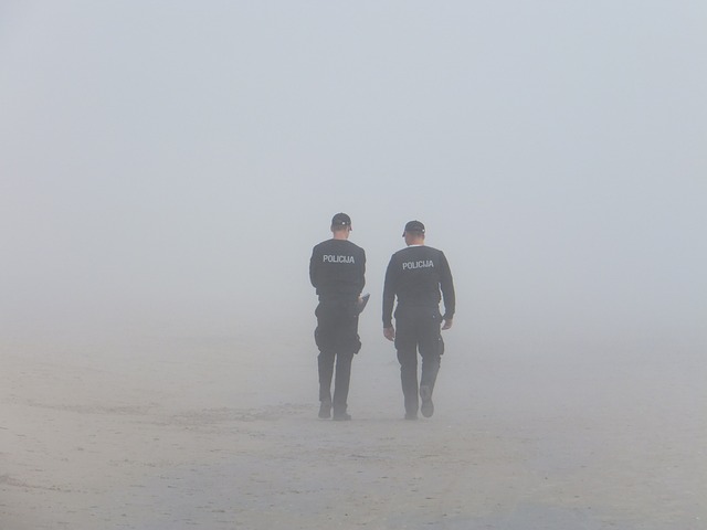 警察 多雾路段 海滨 - 上的免费照片