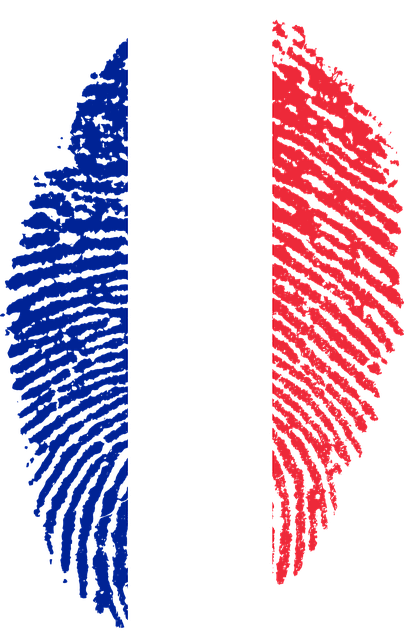 法国 旗帜 指纹 - 上的免费图片