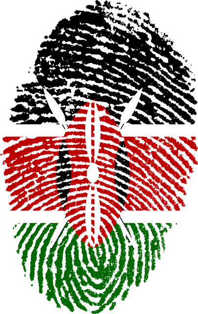 肯尼亚 旗帜 指纹 - 上的免费图片
