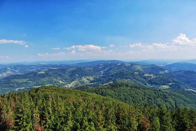 山 贝斯基德 视图 - 上的免费照片