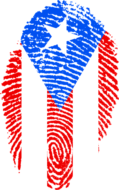 波多黎各 旗帜 指纹 - 上的免费图片