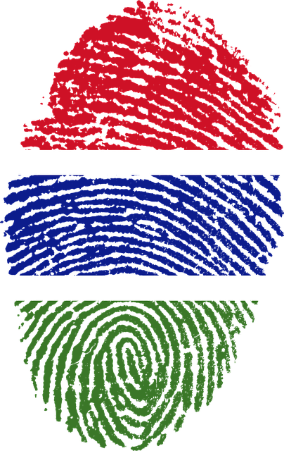 冈比亚 旗帜 指纹 - 上的免费图片