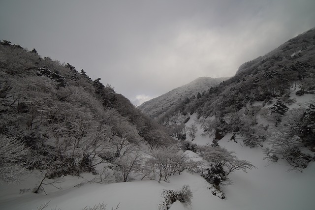 山 汉拉山 雪景 - 上的免费照片
