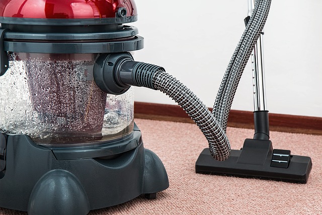 真空吸尘器 地毯清洁剂 家务 - 上的免费照片