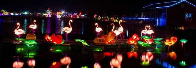 元宵 灯会 - 上的免费照片