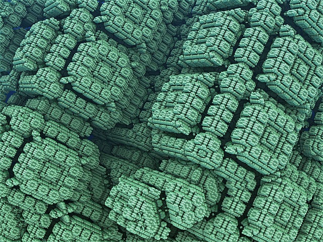海绵 门格尔 科赫 - 上的免费图片